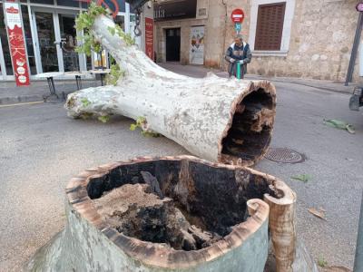La soca està totalment buida.