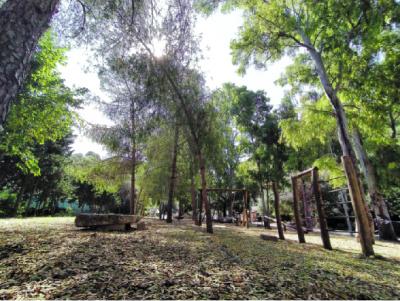 Al parc de Lepanto es crearà una zona de mascotes.