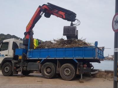 Un camió retirant les canyes acumulades a la platja.