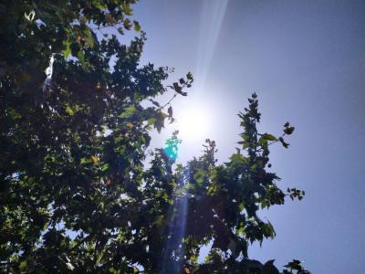 El sol no dona treva aquests dies