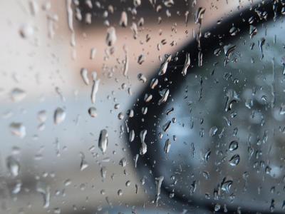 Vidres banyats amb l'escassa pluja d'avui
