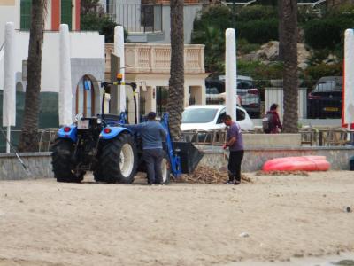 Operaris netejant la costa, avui dematí