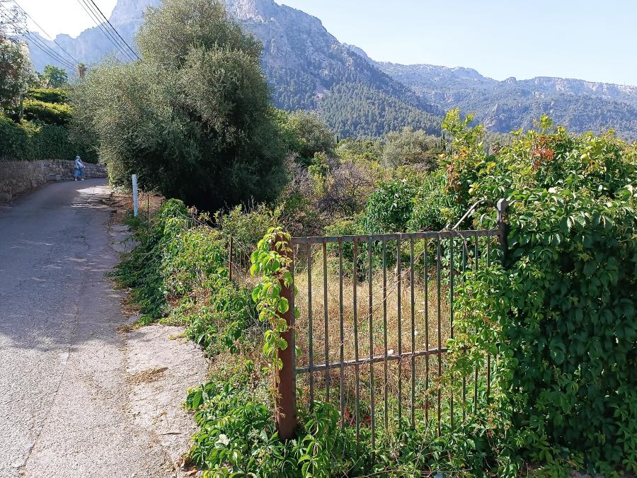 L'hort de Biniaraix que es convertirà en aparcament.