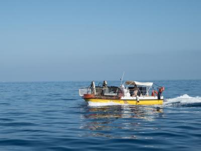 L'embarcació destinada al Port de Sóller