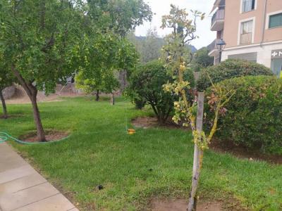 El parc amb la gespa recuperada