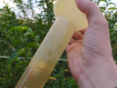 Un pluviòmetre amb l'aigua d'avui