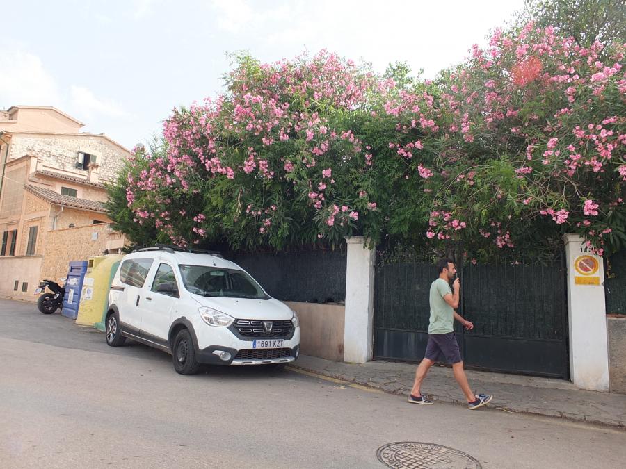 Des del carrer de sa Mar es podrà accedir a Sa Sínia.
