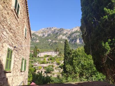 Injecta la meitat d'aigua a la xarxa.