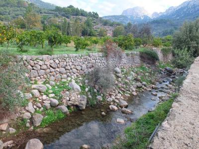 L'aigua baixant pel torrent de Fornalutx