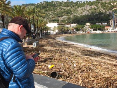 Els turistes observen les platges plenes de canyes