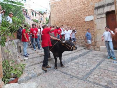 Imatge del correbou de 2017