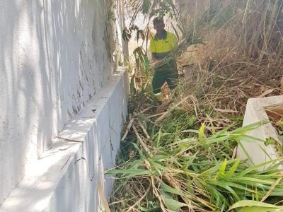 Els operaris han netejat l'exterior del recinte