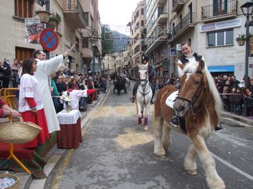 Alguns dels cavalls, durant la bendició.